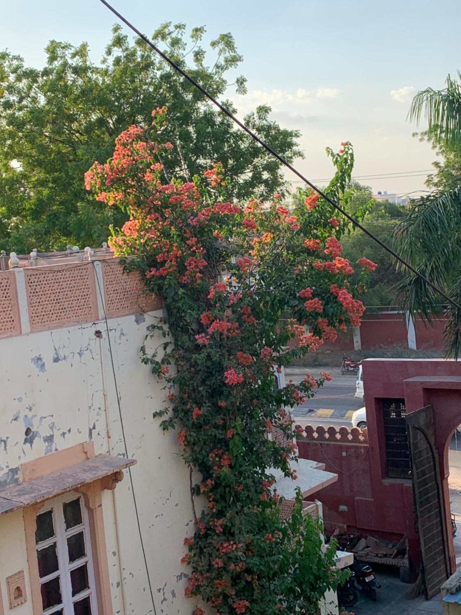 Hotel Kishan Palace Bikaner Exterior foto